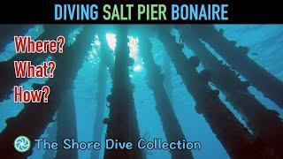 Diving Salt Pier Bonaire | The Shore Dive Collection | TropicLens - 4K