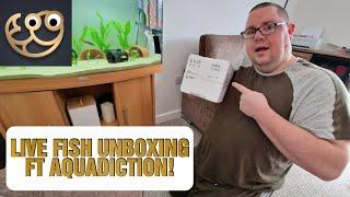 LIVE FISH UNBOXING FT AQUADICTION!