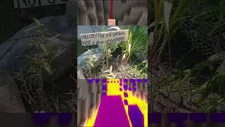 Strange Stupid Or Silly Signs  Pt-12 #funny #memes #laugh #lol #funnymemes #memesdaily #comedy