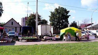 В центре Тамбова организовали ярмарку фермерской продукции