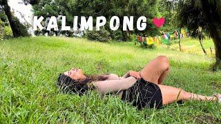 Kalimpong at its best | Haat Bazar | Things to do | Best Cafes, Food in Kalimpong | Lama Hatta