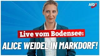 Live vom Bodensee: Alice Weidel in Markdorf! - AfD