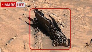 NASA Mars Rover Sent Super Incredible Footage of Mars! Perseverance and Curiosity' Rover Mars in 4K