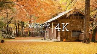 [Top 10 Autumn Leaves in Ayabe] Scenic Spots in Kyoto You Must Visit Before You Die - Kyoto in 4K