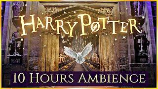 10 Hours  HARRY POTTER ASMR Ambience ⋄ Hogwarts, The burrow, Privet drive & More  Relax & Study  