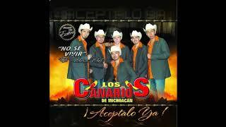 Los Canarios de Michoacan   Provocame