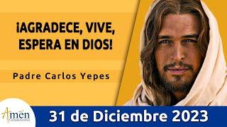 Evangelio De Hoy Domingo 31 Diciembre 2023 l Padre Carlos Yepes l Biblia l Lucas 2,22-40