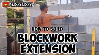 Bricklaying single story extension #bricklaying #building #extension