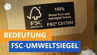 Was bedeutet das FSC-Umweltsiegel?  - Frage trifft Antwort | Planet Schule