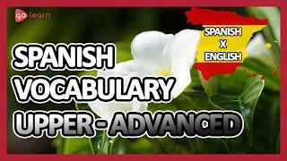 Learn Spanish |Part 16: Spanish Vocabulary Upper-advanced | Golearn