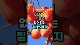 단감 먹으면 없어지는 질병 5가지 #건강 #1분건강정보#건강정보