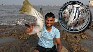 रात्रीची मासेमारी करून घरी आल्यावर गेलो पाग मासेमारी करायला. Cast net fishing. Mumbai Indian fishing