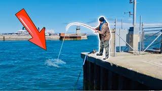 BACK on the BIG DOCK️ UK Sea Fishing 