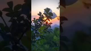 Напоминайте себе почаще, что цель жизни вовсе не в том, чтобы выполнить все намеченное...