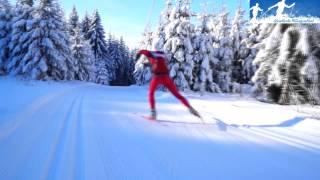 xc-skiing: downhill techniques