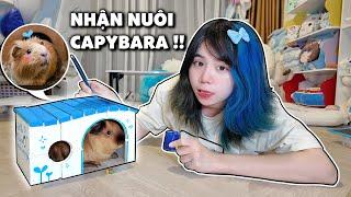 Mèo Simmy Nhận Nuôi và Xây Nhà Cho Em Bé Capybara 1 tuổi !!