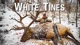 Late season Arizona bull elk hunt with Austin Atkinson | THE ADVISORS : White Tines