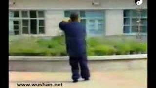 Wu Taijiquan - Wang Peisheng