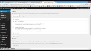 How to Update a WordPress Plugins