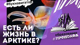 Есть ли жизнь в Арктике? Что скрывается ПОД АРКТИЧЕСКИМ ЛЬДОМ? Рубрика #БукНавигатор