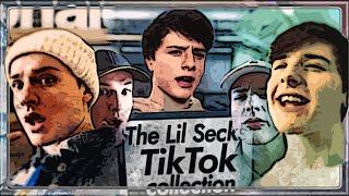 the little secks tiktok rap collection 1