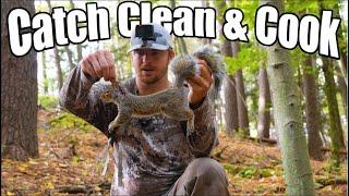 Grey Squirrel Hunting Catch Clean & Cook