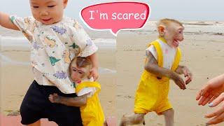 Pupu monkey is scared of ocean waves while on holiday with his family