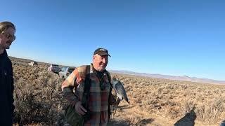 Idaho Falconers Association Fall Meet 2024 Arco, Idaho 1