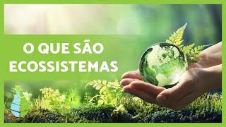 Definição e TIPOS de ECOSSISTEMAS ️️