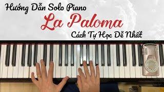  Hướng Dẫn Solo Piano - LA PALOMA - Cách Tự Học Piano Dễ Nhất - Tuan Luu Piano