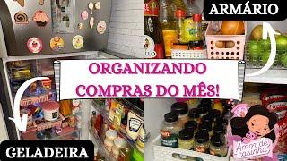 ORGANIZANDO COMPRA DO MÊS NO ARMÁRIO E NA GELADEIRA! Dicas de organização e preservação de alimentos