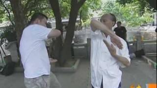 Wing Chun Boxing of Shunde part 2 of 2