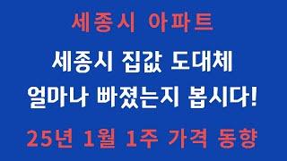 세종시아파트 25년 1월 첫째주 가격 동향 과연 얼마나 빠졌을까? #세종시부동산 #다정동부동산 #세종시매매동향