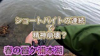 【3月】霞ケ浦本湖で春を感じたくて【バス釣り】