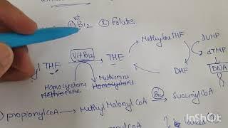 Neurologic manifestation is caused by which Anemia? Folate or vitamin B12 deficiency?