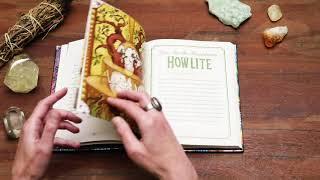 Unearth the magic of gems and minerals with The Illustrated Crystallary