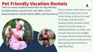 Top 10 Dog Friendly Vacation Ideas