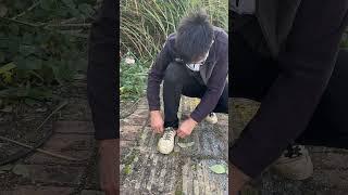 Strange shoelaces奇怪的鞋带 #funny #生活 #乐趣