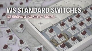 WS Brown X WS Silent Tactile Review | WS Standard Switches Series