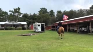 Copper Flag and Tarp