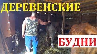 Она привыкает / Деревенские будни / Семья в деревне