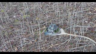 Absolutely DEVASTATING Hurricane HELENE Deforestation in Asheville, North Carolina