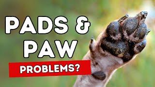 Pad Cracks and Paw Problems: 5 Home Remedies