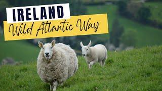 11 Things to do in Ireland's Wild Atlantic Way that no one is sharing