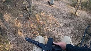 Texas Hog Hunting AR 15