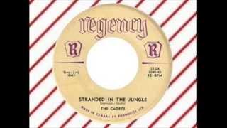 The Cadets - Stranded In The Jungle (REGENCY)