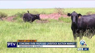 Okeechobee County residents concerned about proposed livestock auction market