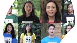 WWF National Youth Council