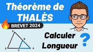 THALÈS  Calculer la longueur d'un TRIANGLE ?  BREVET MATHS 2024 ️ 4e | 3e