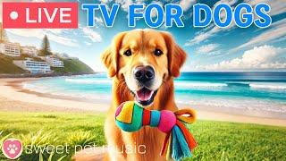 24 Hours of Dog TVRelaxing Music for Dogs to Sleep🩷Dog Separation Anxiety & Stress Relief Music